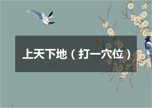 上天下地（打一穴位）