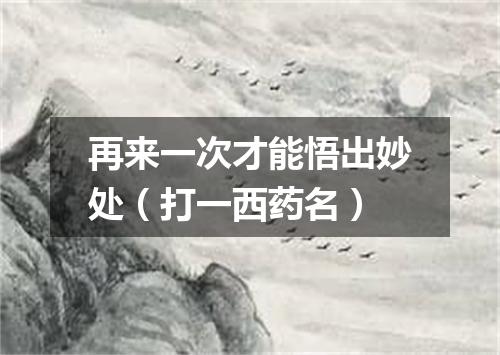 再来一次才能悟出妙处（打一西药名）