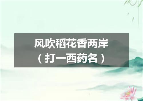 风吹稻花香两岸（打一西药名）