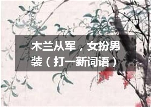 木兰从军，女扮男装（打一新词语）
