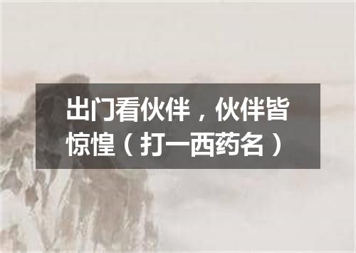 出门看伙伴，伙伴皆惊惶（打一西药名）