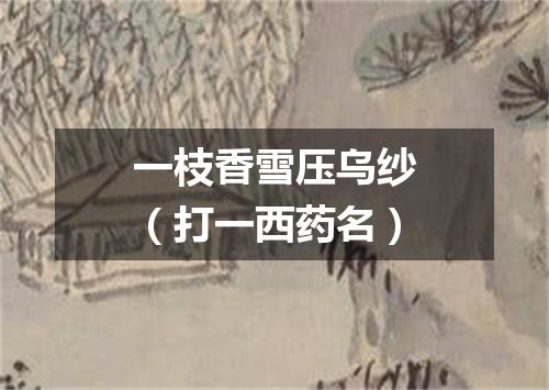 一枝香雪压乌纱（打一西药名）