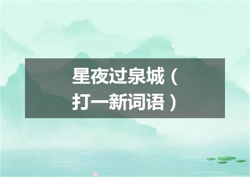 星夜过泉城（打一新词语）