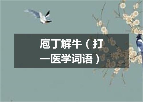 庖丁解牛（打一医学词语）