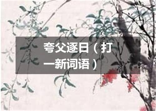 夸父逐日（打一新词语）