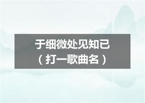于细微处见知已（打一歌曲名）