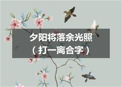 夕阳将落余光照（打一离合字）