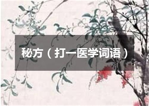 秘方（打一医学词语）