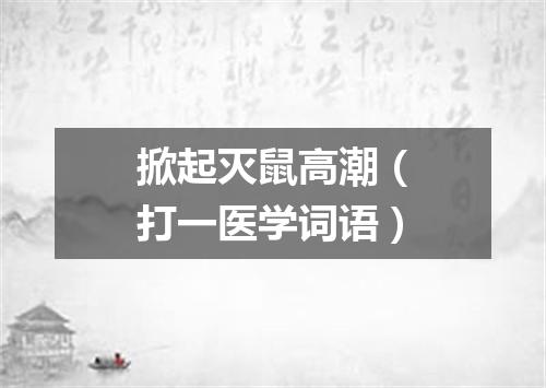 掀起灭鼠高潮（打一医学词语）