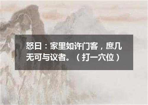 怒曰：家里如许门客，庶几无可与议者。（打一穴位）