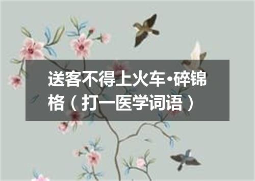 送客不得上火车·碎锦格（打一医学词语）
