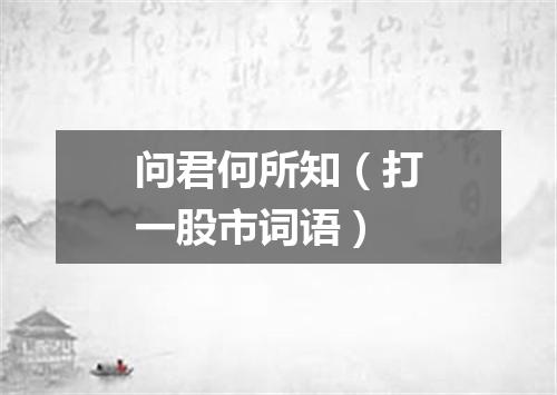 问君何所知（打一股市词语）
