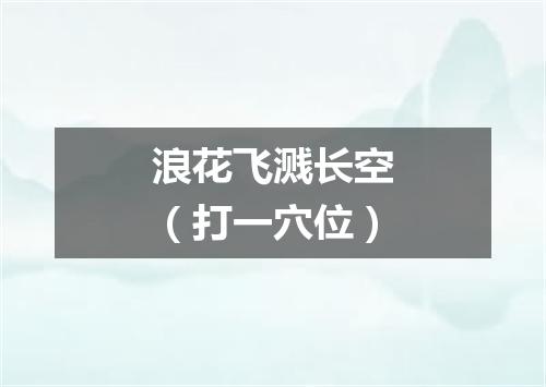 浪花飞溅长空（打一穴位）