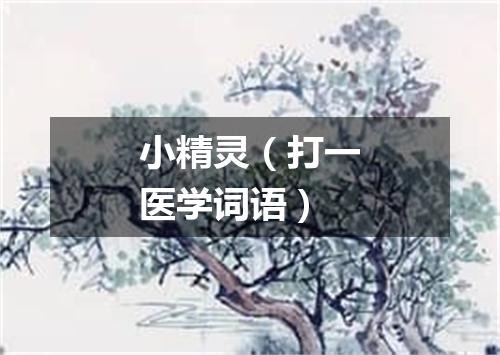 小精灵（打一医学词语）