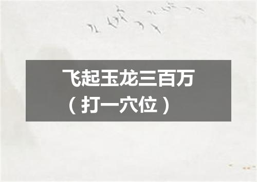飞起玉龙三百万（打一穴位）