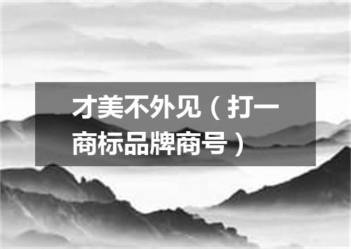 才美不外见（打一商标品牌商号）