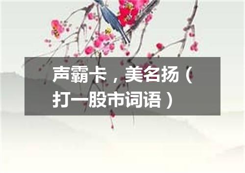 声霸卡，美名扬（打一股市词语）