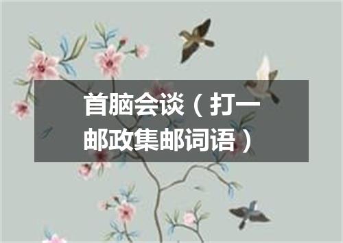 首脑会谈（打一邮政集邮词语）