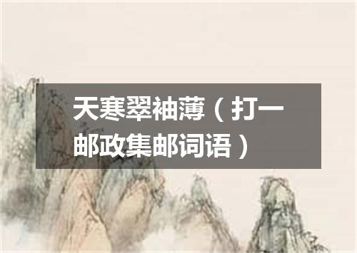 天寒翠袖薄（打一邮政集邮词语）