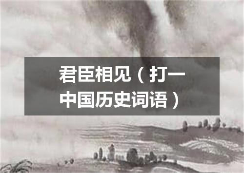 君臣相见（打一中国历史词语）