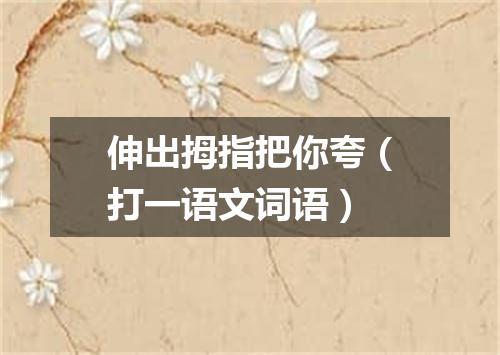 伸出拇指把你夸（打一语文词语）