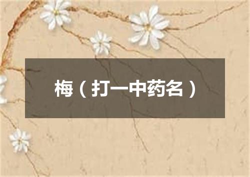 梅（打一中药名）