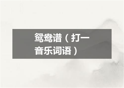 鸳鸯谱（打一音乐词语）