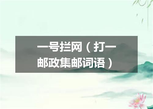 一号拦网（打一邮政集邮词语）