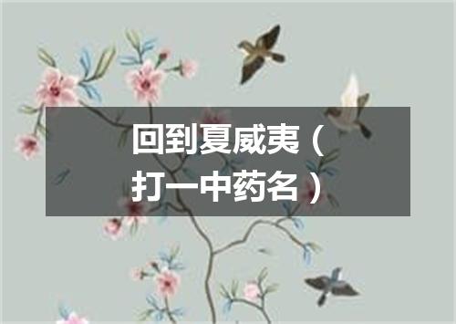 回到夏威夷（打一中药名）