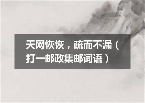 天网恢恢，疏而不漏（打一邮政集邮词语）