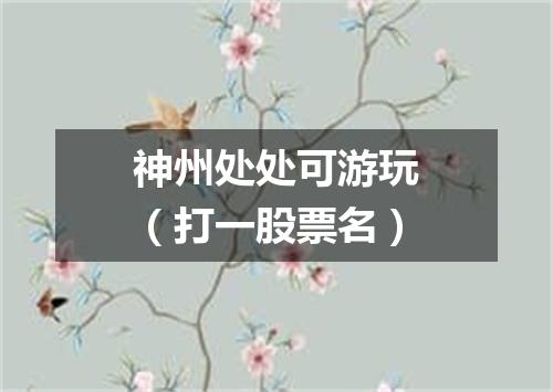 神州处处可游玩（打一股票名）
