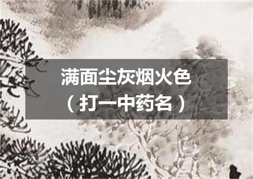 满面尘灰烟火色（打一中药名）
