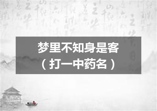 梦里不知身是客（打一中药名）