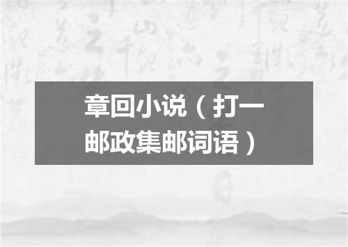 章回小说（打一邮政集邮词语）