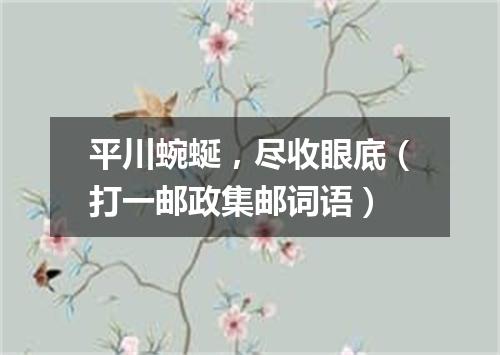 平川蜿蜒，尽收眼底（打一邮政集邮词语）