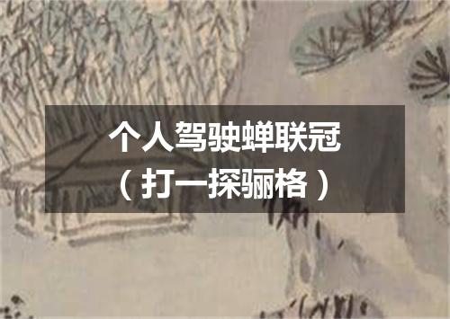 个人驾驶蝉联冠（打一探骊格）