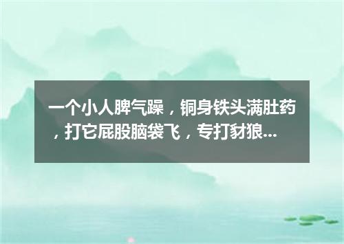 一个小人脾气躁，铜身铁头满肚药，打它屁股脑袋飞，专打豺狼狗强盗。（打一军事物品）