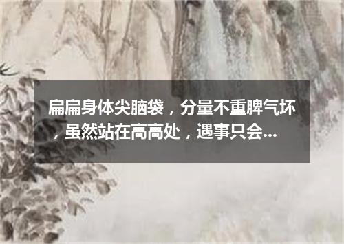扁扁身体尖脑袋，分量不重脾气坏，虽然站在高高处，遇事只会随风摆。（打一气象用具）