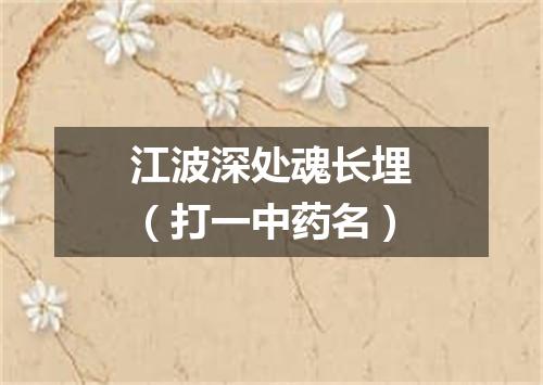 江波深处魂长埋（打一中药名）