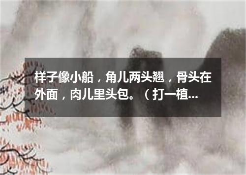 样子像小船，角儿两头翘，骨头在外面，肉儿里头包。（打一植物）