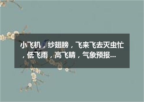 小飞机，纱翅膀，飞来飞去灭虫忙，低飞雨，高飞睛，气象预报它内行。（打一动物）