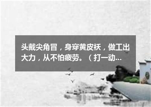 头戴尖角冒，身穿黄皮袄，做工出大力，从不怕疲劳。（打一动物）