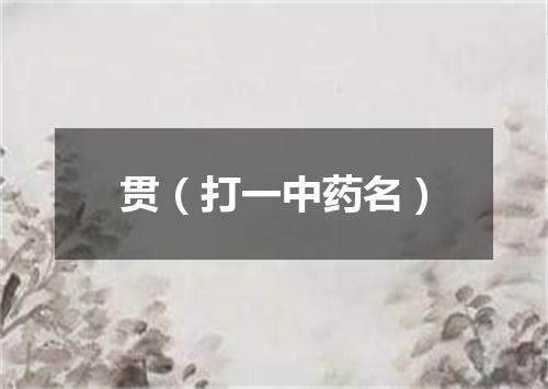 贯（打一中药名）
