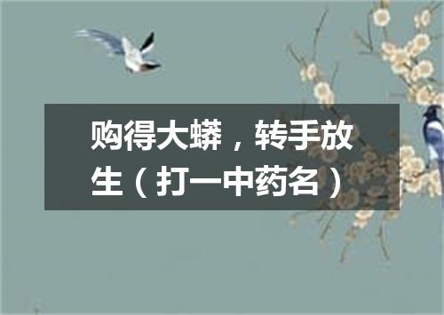 购得大蟒，转手放生（打一中药名）