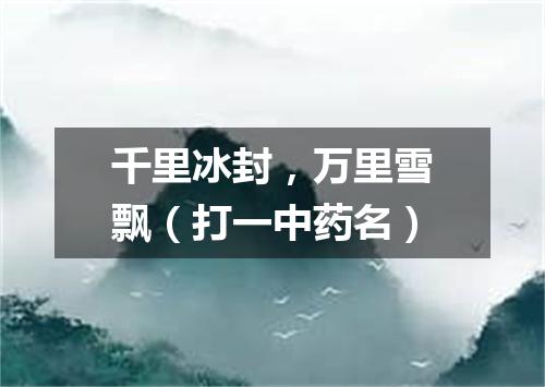 千里冰封，万里雪飘（打一中药名）