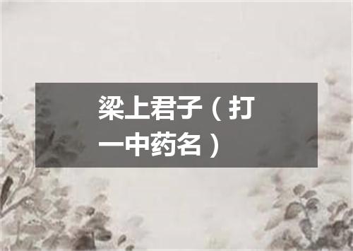 梁上君子（打一中药名）