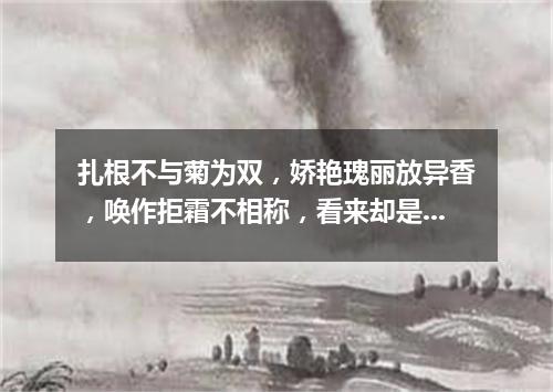 扎根不与菊为双，娇艳瑰丽放异香，唤作拒霜不相称，看来却是最宜霜。（打一植物）