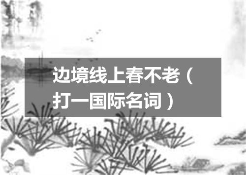 边境线上春不老（打一国际名词）