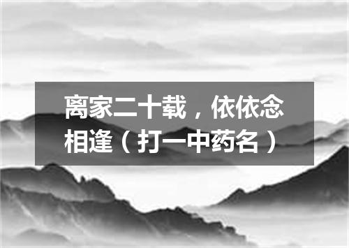 离家二十载，依依念相逢（打一中药名）