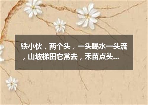 铁小伙，两个头，一头喝水一头流，山坡梯田它常去，禾苗点头乐悠悠。（打一农机用具）